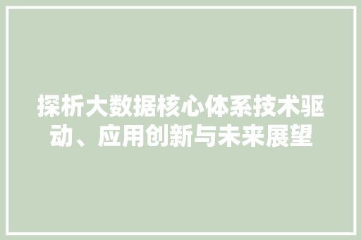 探析大数据核心体系技术驱动、应用创新与未来展望