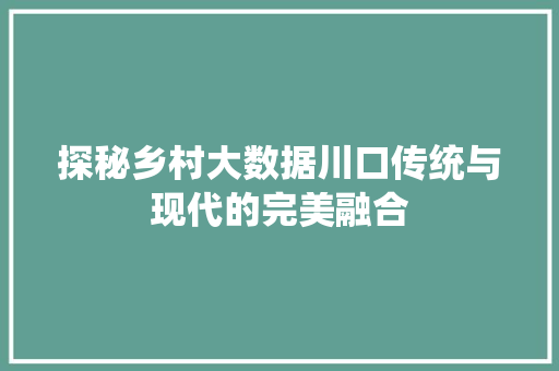 探秘乡村大数据川口传统与现代的完美融合