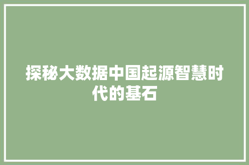 探秘大数据中国起源智慧时代的基石  第1张