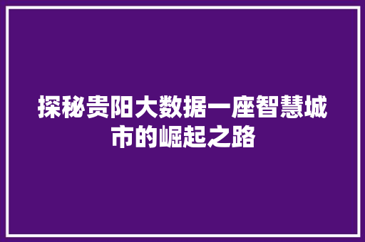 探秘贵阳大数据一座智慧城市的崛起之路  第1张