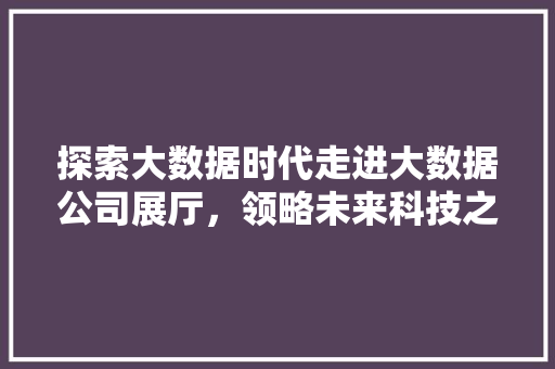 探索大数据时代走进大数据公司展厅，领略未来科技之光  第1张