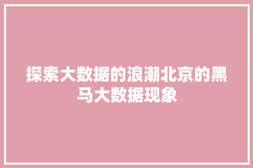 探索大数据的浪潮北京的黑马大数据现象