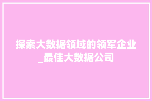 探索大数据领域的领军企业_最佳大数据公司