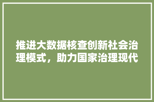 推进大数据核查创新社会治理模式，助力国家治理现代化  第1张