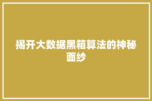 揭开大数据黑箱算法的神秘面纱