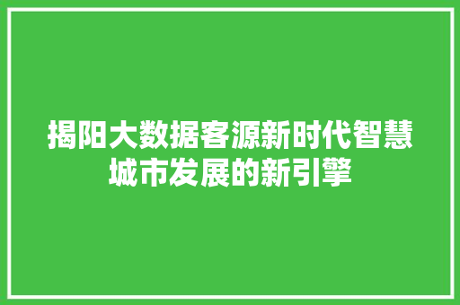 揭阳大数据客源新时代智慧城市发展的新引擎