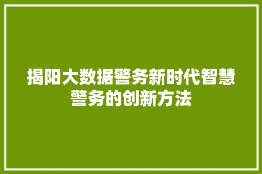 揭阳大数据警务新时代智慧警务的创新方法  第1张