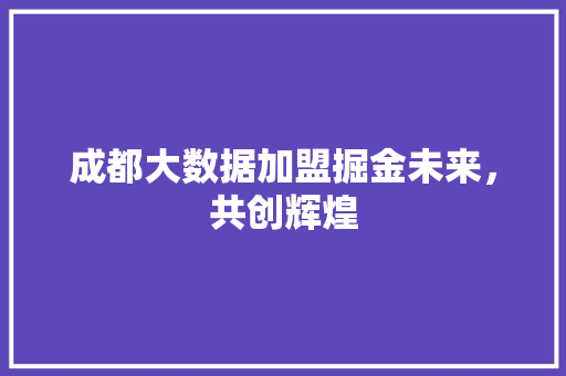 成都大数据加盟掘金未来，共创辉煌  第1张