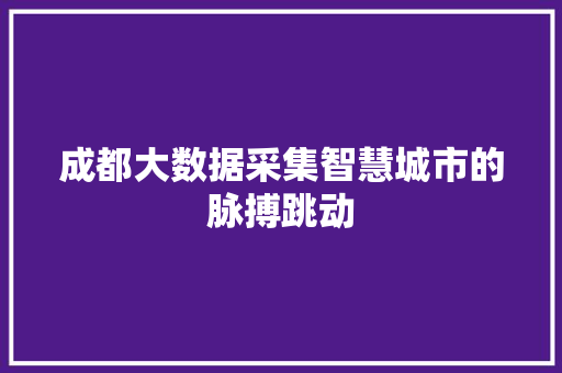 成都大数据采集智慧城市的脉搏跳动  第1张