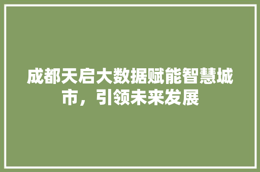 成都天启大数据赋能智慧城市，引领未来发展  第1张