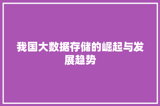 我国大数据存储的崛起与发展趋势  第1张