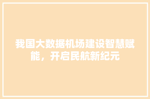 我国大数据机场建设智慧赋能，开启民航新纪元  第1张