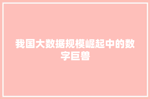我国大数据规模崛起中的数字巨兽
