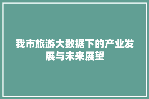 我市旅游大数据下的产业发展与未来展望