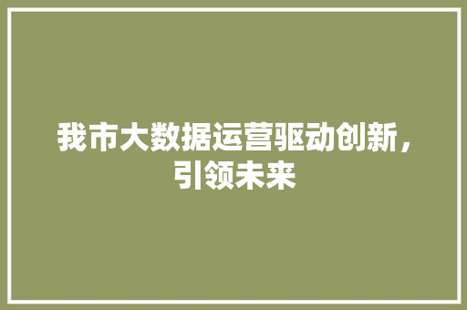 我市大数据运营驱动创新，引领未来