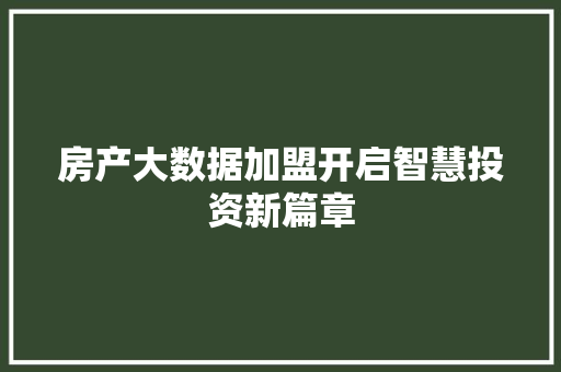 房产大数据加盟开启智慧投资新篇章  第1张