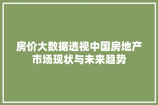 房价大数据透视中国房地产市场现状与未来趋势  第1张
