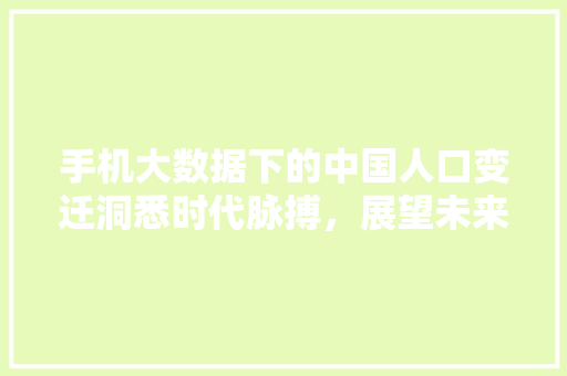 手机大数据下的中国人口变迁洞悉时代脉搏，展望未来图景  第1张