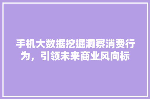 手机大数据挖掘洞察消费行为，引领未来商业风向标  第1张