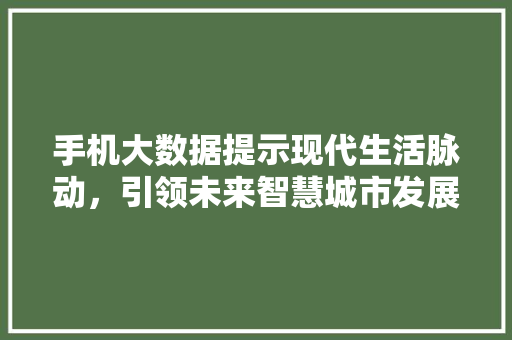 手机大数据提示现代生活脉动，引领未来智慧城市发展  第1张