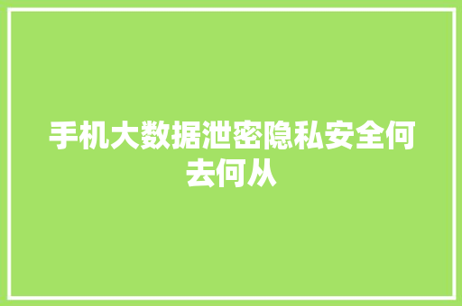 手机大数据泄密隐私安全何去何从  第1张