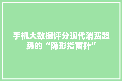 手机大数据评分现代消费趋势的“隐形指南针”