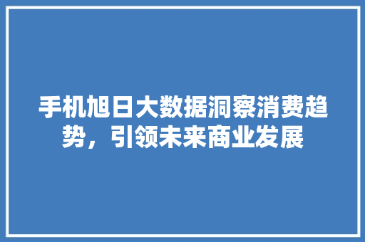手机旭日大数据洞察消费趋势，引领未来商业发展  第1张