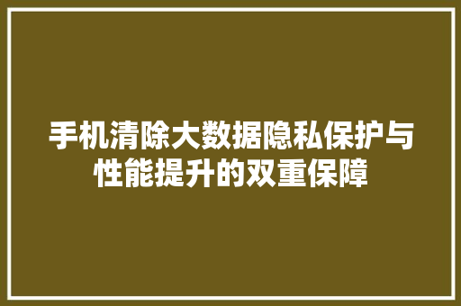 手机清除大数据隐私保护与性能提升的双重保障  第1张