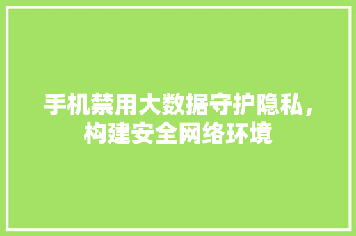 手机禁用大数据守护隐私，构建安全网络环境  第1张