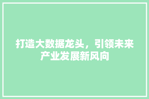 打造大数据龙头，引领未来产业发展新风向  第1张
