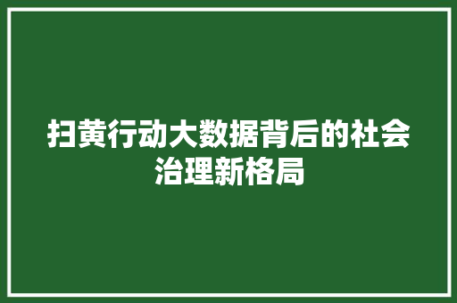 扫黄行动大数据背后的社会治理新格局  第1张