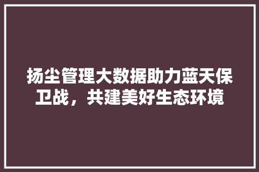 扬尘管理大数据助力蓝天保卫战，共建美好生态环境  第1张