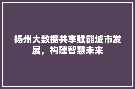 扬州大数据共享赋能城市发展，构建智慧未来  第1张