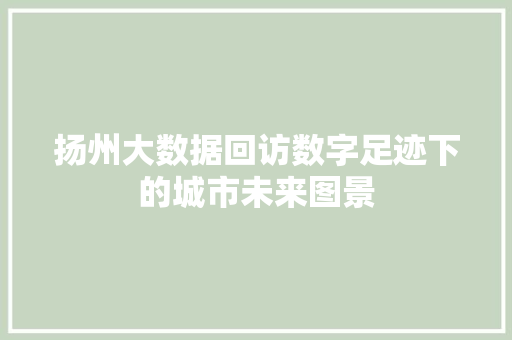 扬州大数据回访数字足迹下的城市未来图景  第1张