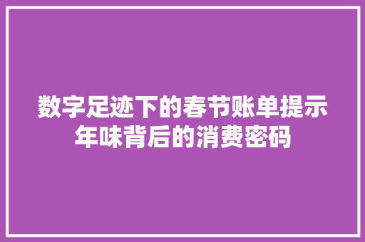 数字足迹下的春节账单提示年味背后的消费密码  第1张