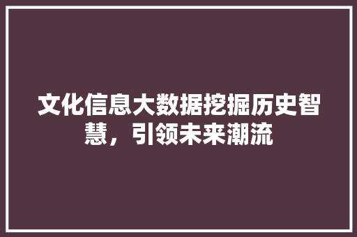 文化信息大数据挖掘历史智慧，引领未来潮流  第1张