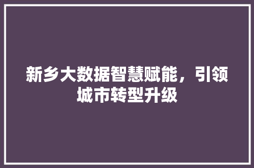 新乡大数据智慧赋能，引领城市转型升级  第1张