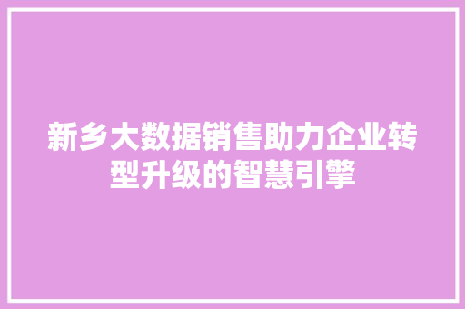 新乡大数据销售助力企业转型升级的智慧引擎  第1张