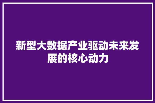 新型大数据产业驱动未来发展的核心动力  第1张