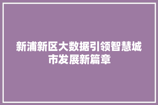 新浦新区大数据引领智慧城市发展新篇章