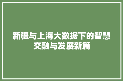 新疆与上海大数据下的智慧交融与发展新篇  第1张