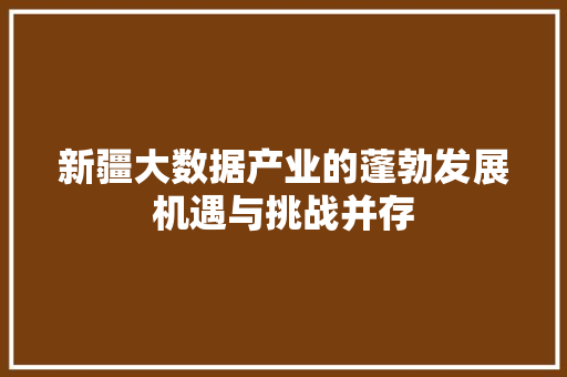 新疆大数据产业的蓬勃发展机遇与挑战并存  第1张