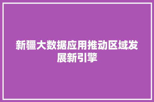 新疆大数据应用推动区域发展新引擎  第1张