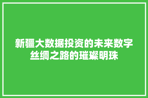 新疆大数据投资的未来数字丝绸之路的璀璨明珠  第1张