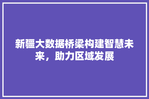 新疆大数据桥梁构建智慧未来，助力区域发展  第1张