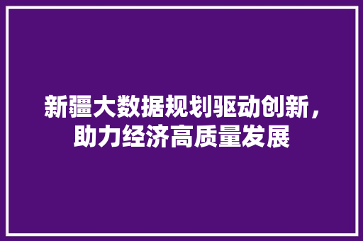 新疆大数据规划驱动创新，助力经济高质量发展  第1张