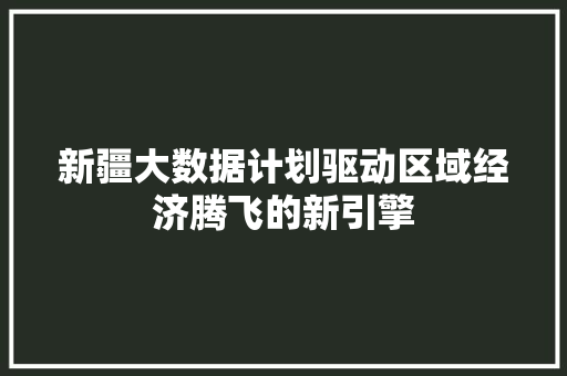 新疆大数据计划驱动区域经济腾飞的新引擎  第1张