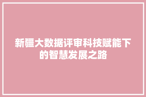 新疆大数据评审科技赋能下的智慧发展之路  第1张