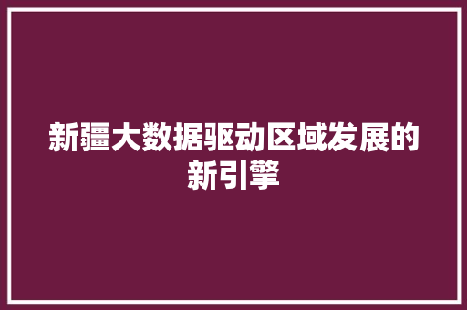 新疆大数据驱动区域发展的新引擎  第1张
