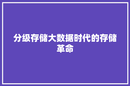 分级存储大数据时代的存储革命  第1张